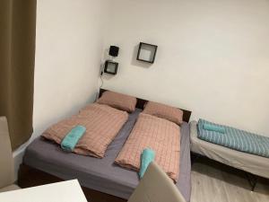 Roland Apartment Downtown - CORVIN