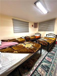 Petra Heritage House