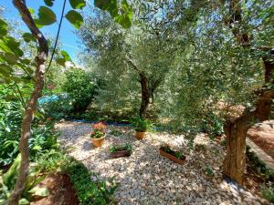 Big pool apartment in Pula