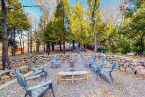 Saint Bernard Beauty - North Shore