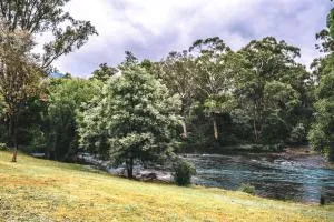 BIG4 Breeze Holiday Parks - Eildon - 艾尔登