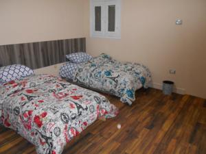 Economy Pyramids Inn