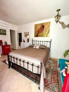 Small pet friendly, Pool and Gym Apartment