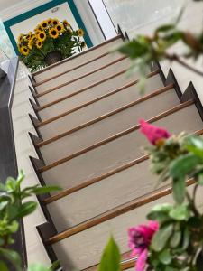 Hotel Casa Lamay