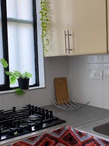 BORA - Apto 101Tu espacio fuera de casa