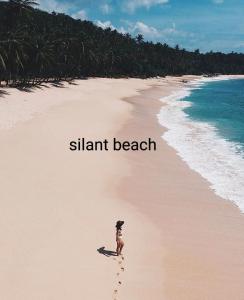 Secret Swell