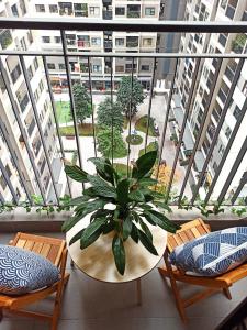 NK#Homestay#Vinhomes#OceanPark#1PN#C19