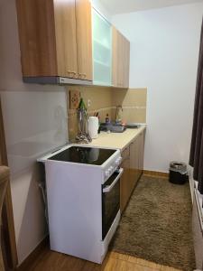 Apartman B 8 - Lapčević u zgradi MUJEN LUX, Kopaonik