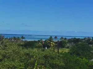 La Belle du Sud - La Ferme