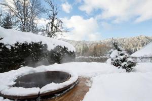 Chalets Chalet Renard in Morzine : photos des chambres