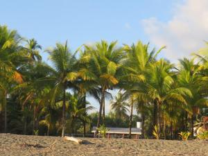 chambre indépendante