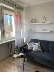Apartament Pan Tadeusz