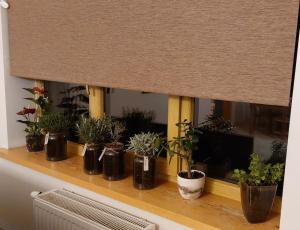 Spicy studio in Art Nouveau district, Culture trip