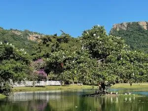 Eden Wilds 72 - Lusikisiki