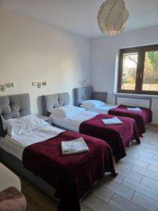 Deluxe Triple Room room in WILLA BAJLAND