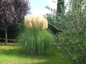 Casale Santa Caterina