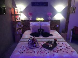 Appartements Cosy Love & Spa Love room avec spa, hammam et sauna privatif : photos des chambres