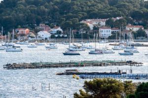 Studio avec vue mer et terrasse
