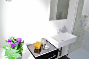 Apartment Domus Lauri 