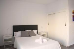 Cozy studio next to the sea