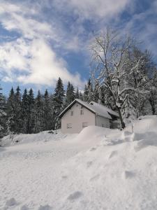 Ferienhaus Plöckenstein