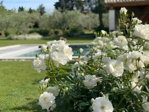 Villas Mas des Oliviers : photos des chambres