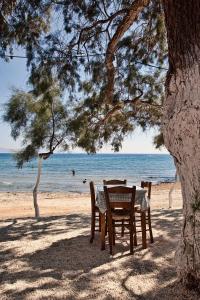 Parasporos Beach, Parasporos 84400, Greece.