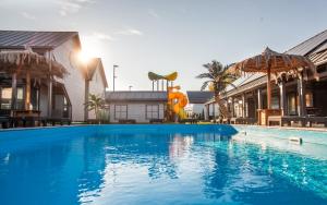 Royal Palm Mielno