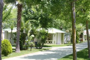 Glamping -Bungalows El Faro
