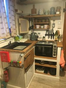 Mr Hares shepherd hut