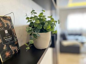 Lovely family condo in residence Marrakech