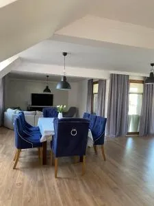 Apartament DeLux - 帕斯文克