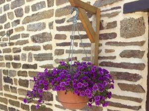 Maisons de vacances Le Bois Gautier : photos des chambres