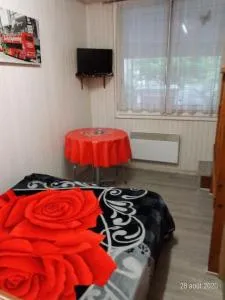 Studio pour deux personnes au centre et calme - Camurac