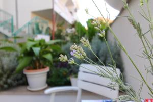 Apartment Nika - Marija