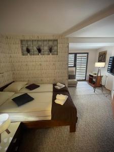 Double Room with Terrace and River View room in Pansion River