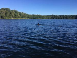 Ferienhaus Wald und Seeidylle, nahe Badesee, Spreewald, Berlin