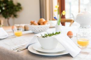 Villa met grote tuin in de duinen nabij het strand