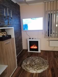 Apartman Dionis SM