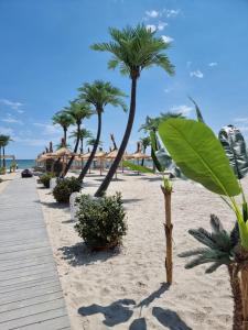 Apartament Sunscape - Endless Summer Mamaia Nord Apartaments