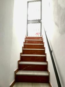 El rincón de Manolita #3