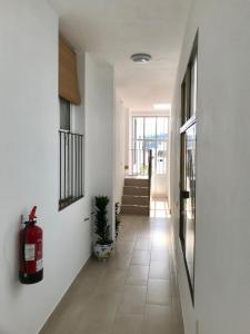 El rincón de Manolita #3