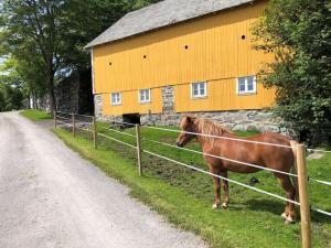 Storlauvøya The Atlantic Ocean Road