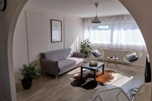 Appartements Two bedrooms modern apartment close to Tram : photos des chambres