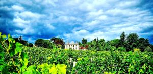Maisons de vacances Chateau Tanesse de Tourny : photos des chambres