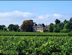 Maisons de vacances Chateau Tanesse de Tourny : photos des chambres