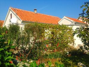 Apartments by the sea Lukoran, Ugljan - 20387