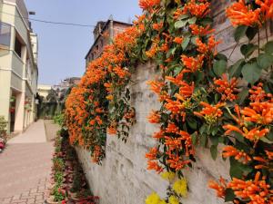 Hotel Satkar