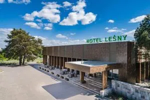Hotel Leśny - Bacieczki