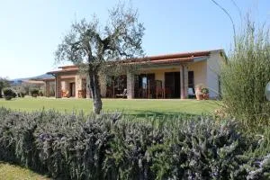 Agriturismo Il vecchio mandorlo - Tirli